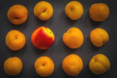 Stand out, be bright! Stock Photos