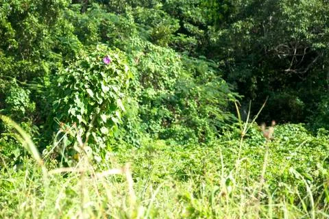 Stand Out Foto stock