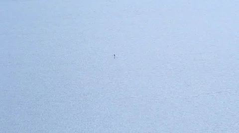 Stand Up Paddle Alone in the water Video stock 38684752