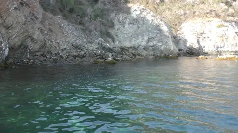 Stand up paddle boarder floating in crystal clear Catalina water in a cove. Stock Footage 67520363