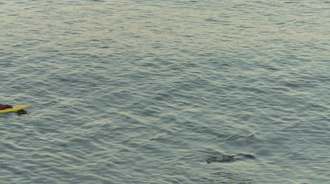 Stand Up Paddle Boarder Stock Footage 65050024