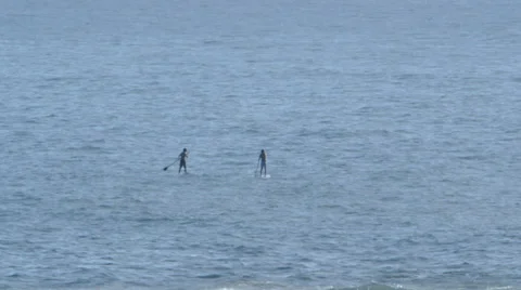 Stand Up Paddle Boarders Stock Footage 37125126