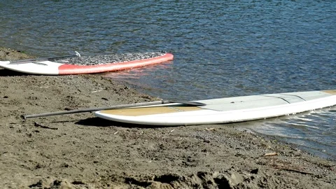 Stand Up Paddle Boards On Beach Stock Footage 120107754