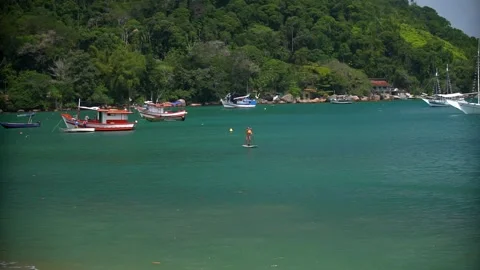 Stand up paddle . Tropical Beach on a Sunny Day . Atlantic Rainforest Stock Footage 131587853