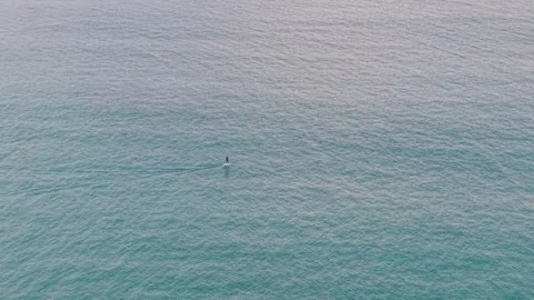 Stand-up paddleboarder glides across calm ocean water under soft sunlight Video stock 340407413