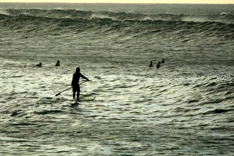 Stand up paddleboarder heading out to catch some waves amongst some surfers. Stock Photos