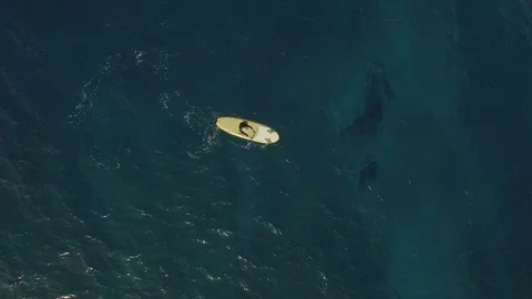 Stand Up Paddleboarder, SUP, Top View Pull Out To Wide Shot -  Aerial Stock Footage 72154362