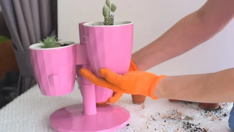 Stand with pots with home plants Stock-Footage 172186324