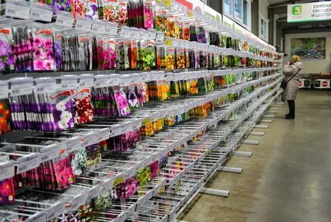 Stand with seeds of different varieties of annual flowers and a customer Stock Photos