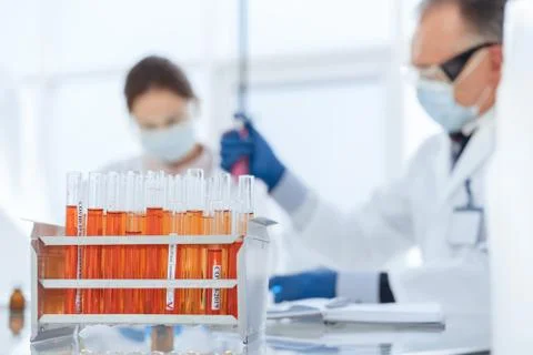 Stand with test tubes on the table in the laboratory. Stock Photos