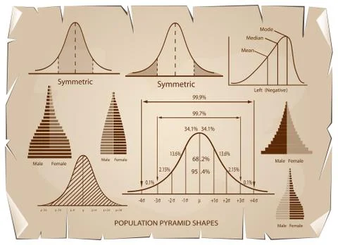 Standard Deviation Diagram with Population Pyramid Chart Illustrazione stock
