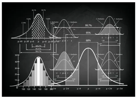 Standard Deviation Diagram with Sample Size Chart Illustrazione stock
