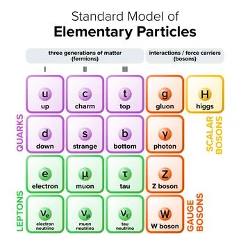 Standard model of elementary particles, showing 17 subatomic particles Stock Illustration