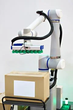 Standard multipurpose arm manipulator robot Stock Photos