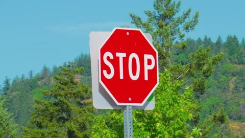 Standard red octagonal stop sign with white bold text Stock Footage 341980896