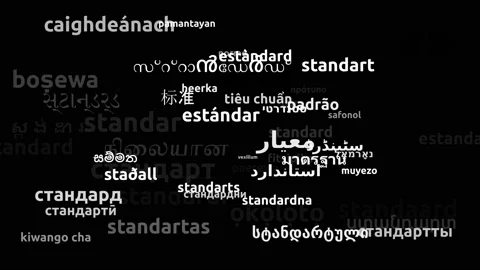 Standard Translated in 54 Worldwide Languages Endless Looping 3d Zooming Word Video stock 145215928