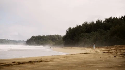 Standing alone on beach as ocean mist blows in the wind Stock Footage 97774448