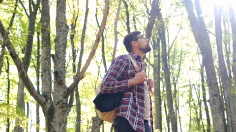 Standing alone in the forest in the open air against a forest background Stock Footage 143868630