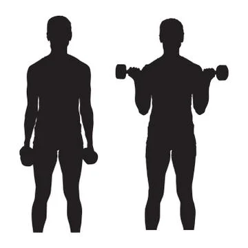 Standing Bicep Curls Arm Training Silhouette Stock Illustration