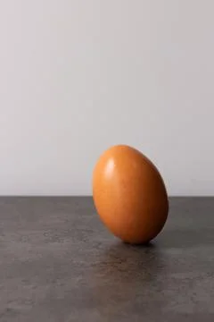 Standing brown egg over grey table, single isolated object, minimalistic. Stock Photos