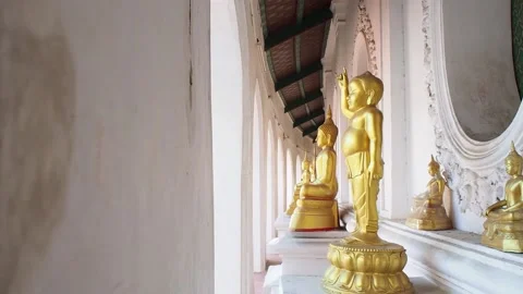 Standing Buddha statues in the temple Stock Footage 166573629