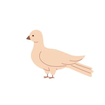 Standing dove. Hand drawn vector illustration of bird in pastel colors. Stock Illustration