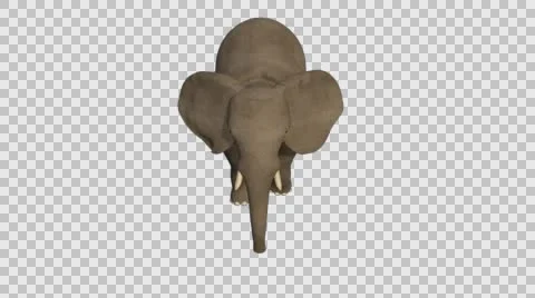 Standing Elephant - Front Axo View - Embedded Alpha Vídeos de archivo 61457220