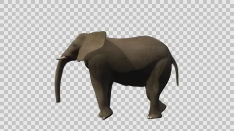 Standing Elephant - Left Side View - Embedded Alpha Vídeos de archivo 61456529