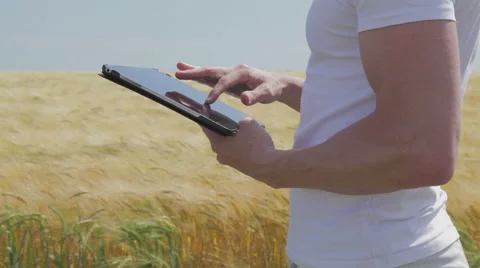 Standing at a field surfing on a tablet Stock Footage 52574084