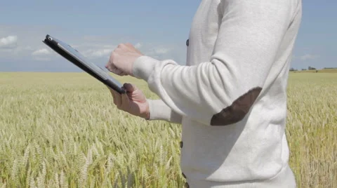 Standing at a field surfing on a tablet Stock Footage 52634912