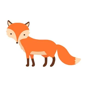 Standing fox isolated on a white background. Body side view, head in full face. Stock Illustration