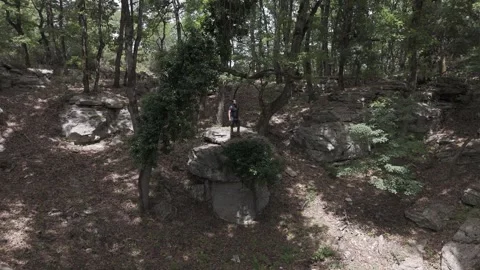 Standing on a giant boulder in a dark forest Stock Footage 288729038