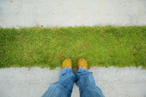 Standing on the grass and cement path Foto stock