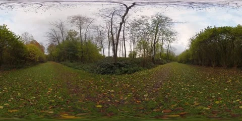 Standing On Grass Next To Forrest [360° VR - 8K] (HDR) 스톡 동영상 165059820