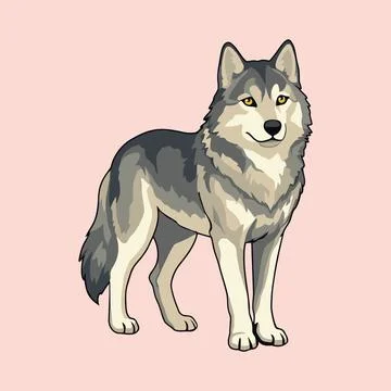 Standing Gray Wolf Flat Design Vector Illustration Stock Illustration