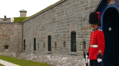 STANDING GUARD Stock-Footage 308648