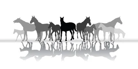Standing horses silhouette with reflection Illustrazione stock