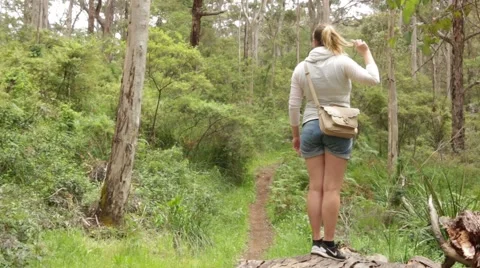 Standing on a large tree on a forest walk Video stock 59771894