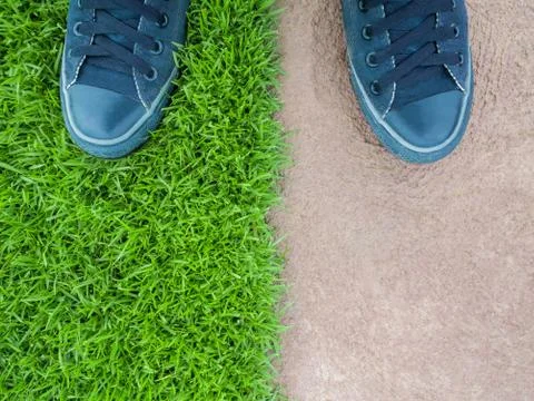 Standing on Lawn Between the Cement Floor Stock Photos