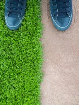 Standing on Lawn Between the Cement Floor Stock Photos