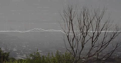Standing leafless tree right of hilltop, showing rooftops, dotted waveform, copy Stock Photos