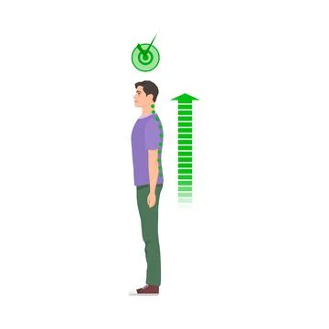 Standing man with correct spine posture Stock Illustration