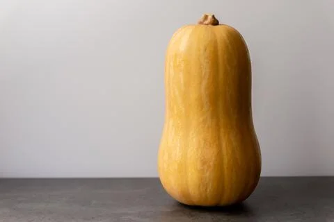 Standing orange squash on gray background, texture and glossy, elegant displa Stock Photos