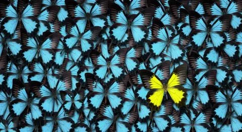 Standing out from the crowd concept Stock Photos