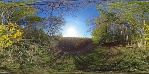 Standing Outside Of Cornfield [360° VR - 8K]  (HDR) 스톡 동영상 164915691
