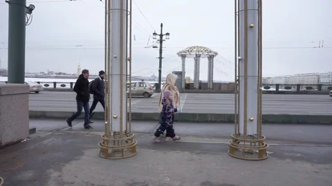 Standing on the Palace bridge Stock Footage 101281626