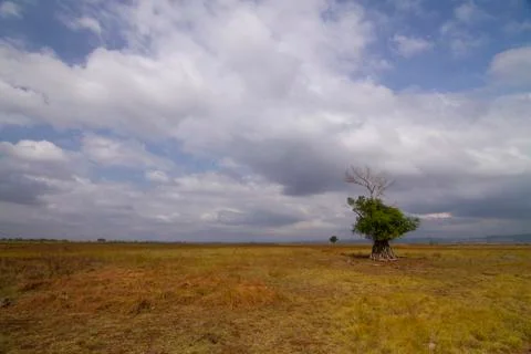 Standing up 写真素材