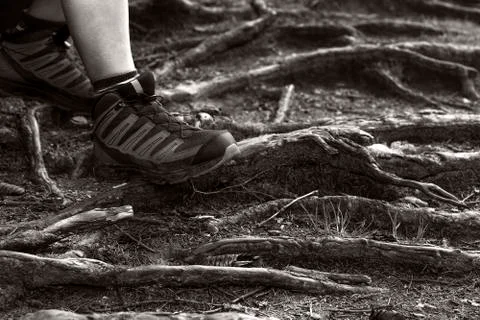 Standing on a rough terrain Stock Photos