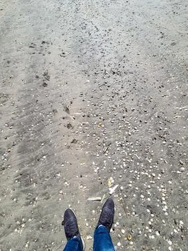 Standing on Shell Covered Beach Sand 库存照片
