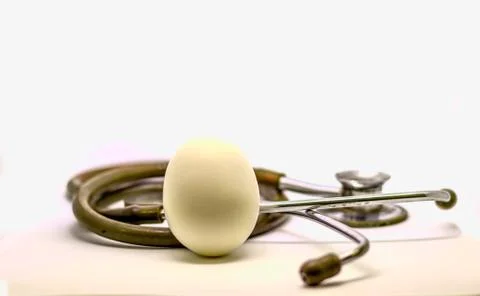 Standing single egg and stethoscope isolated in white background as doctor re Stock Photos